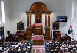 de3_9492 